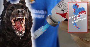 วัคซีนพิษสุนัขบ้า
