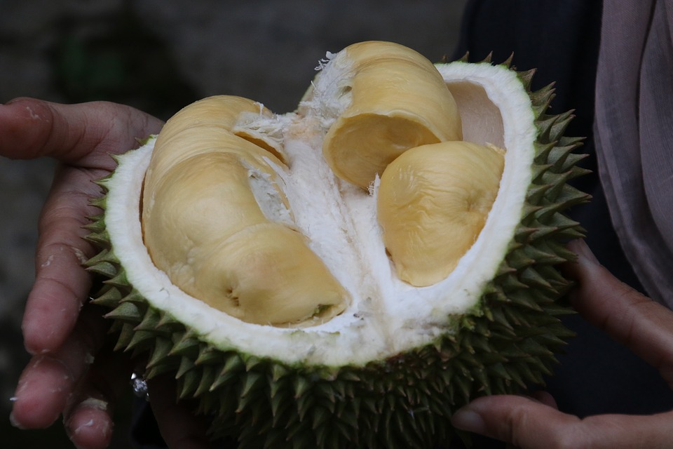 คนท้องกินทุเรียนได้ไหม