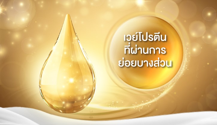 เวย์โปรตีนที่ย่อยบางส่วน