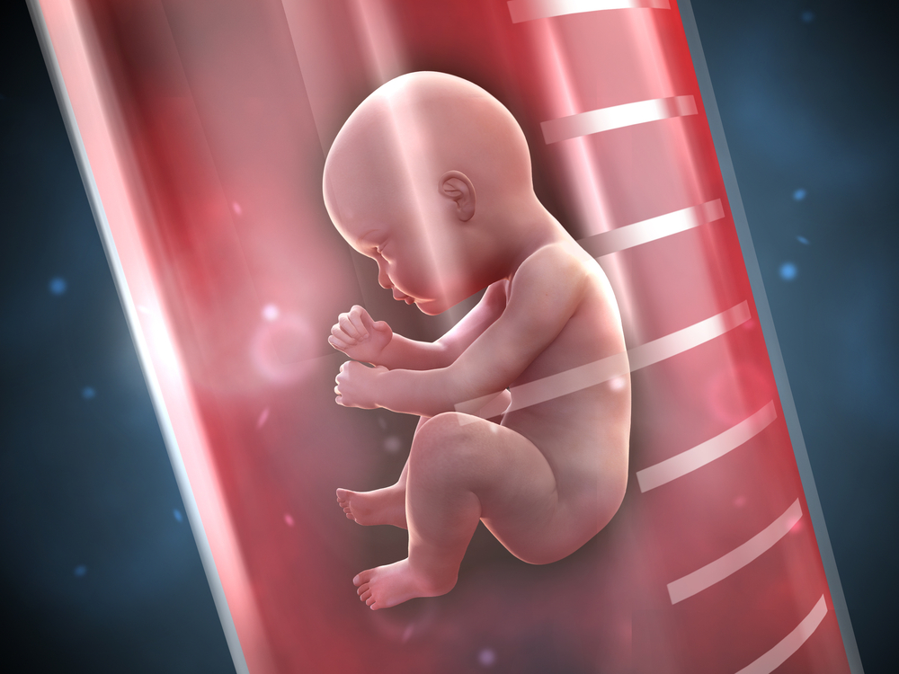 อยากมีลูกต้องทำไง