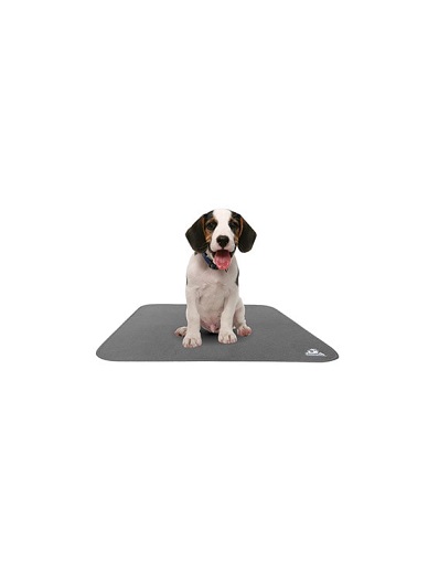 DOG PEE PADS แผ่นรองฉี่สุนัข 