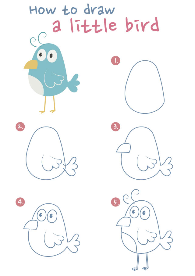 bird