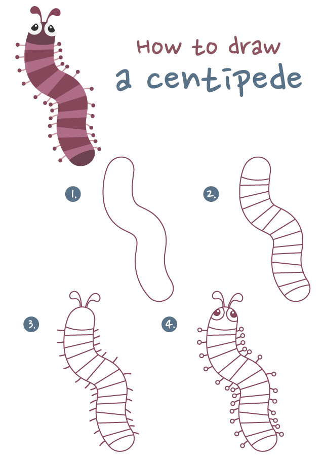 centipede