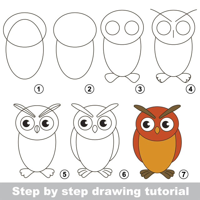 owl