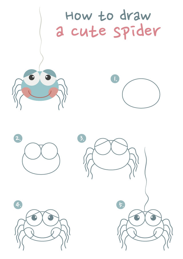 spider