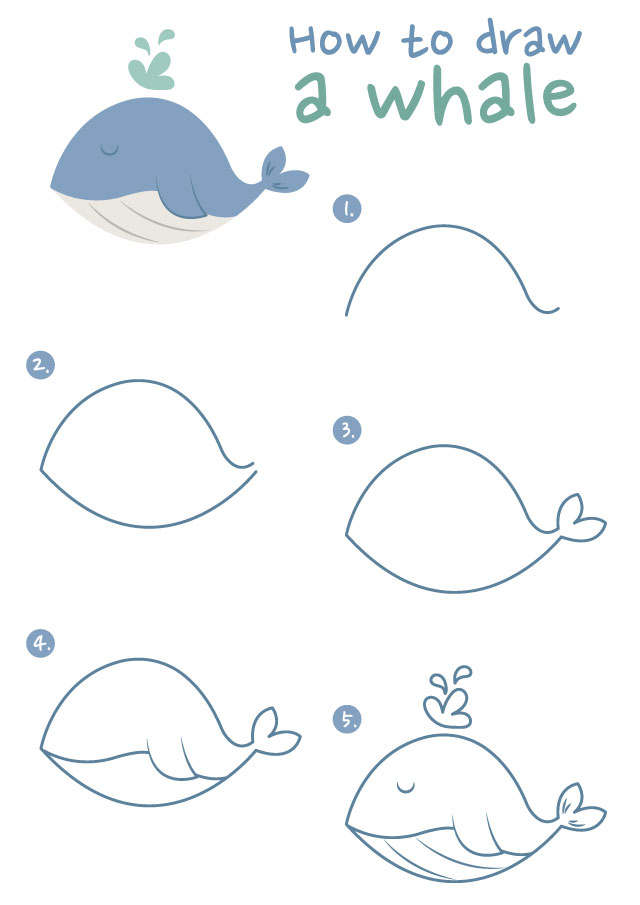 whale