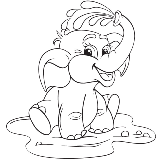 elephant