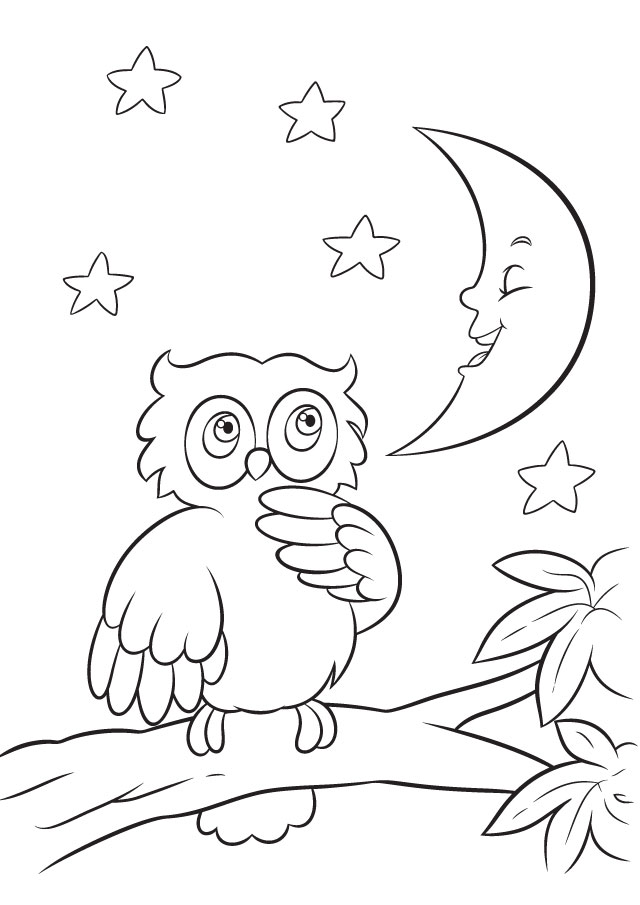 owl on branch