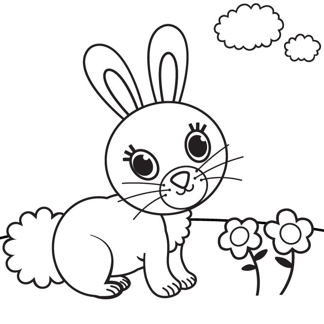  rabbit for children