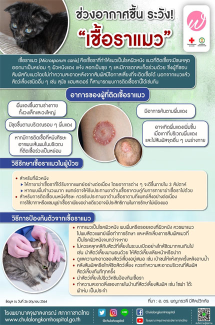 โรคเชื้อราแมว