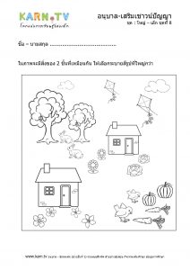 แบบฝึกหัดอนุบาล