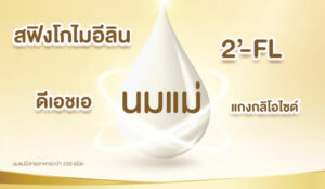 สฟิงโกไมอีลิน ช่วยพัฒนาเด็กสมองไว
