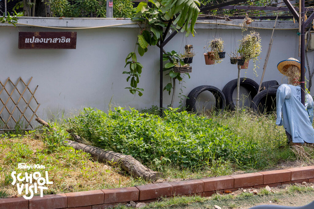 โรงเรียนจารุวรรณ