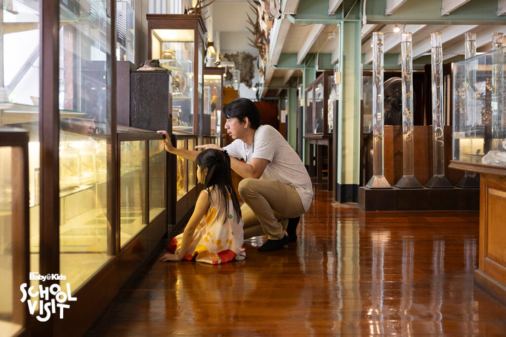 พิพิธภัณฑสถานธรรมชาติวิทยา, จุฬา,