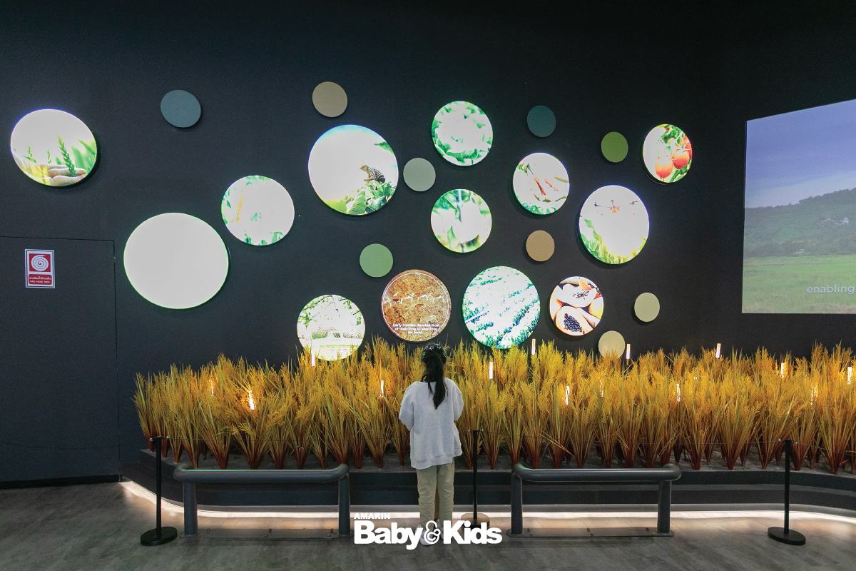 พิพิธภัณฑ์และแหล่งเรียนรู้