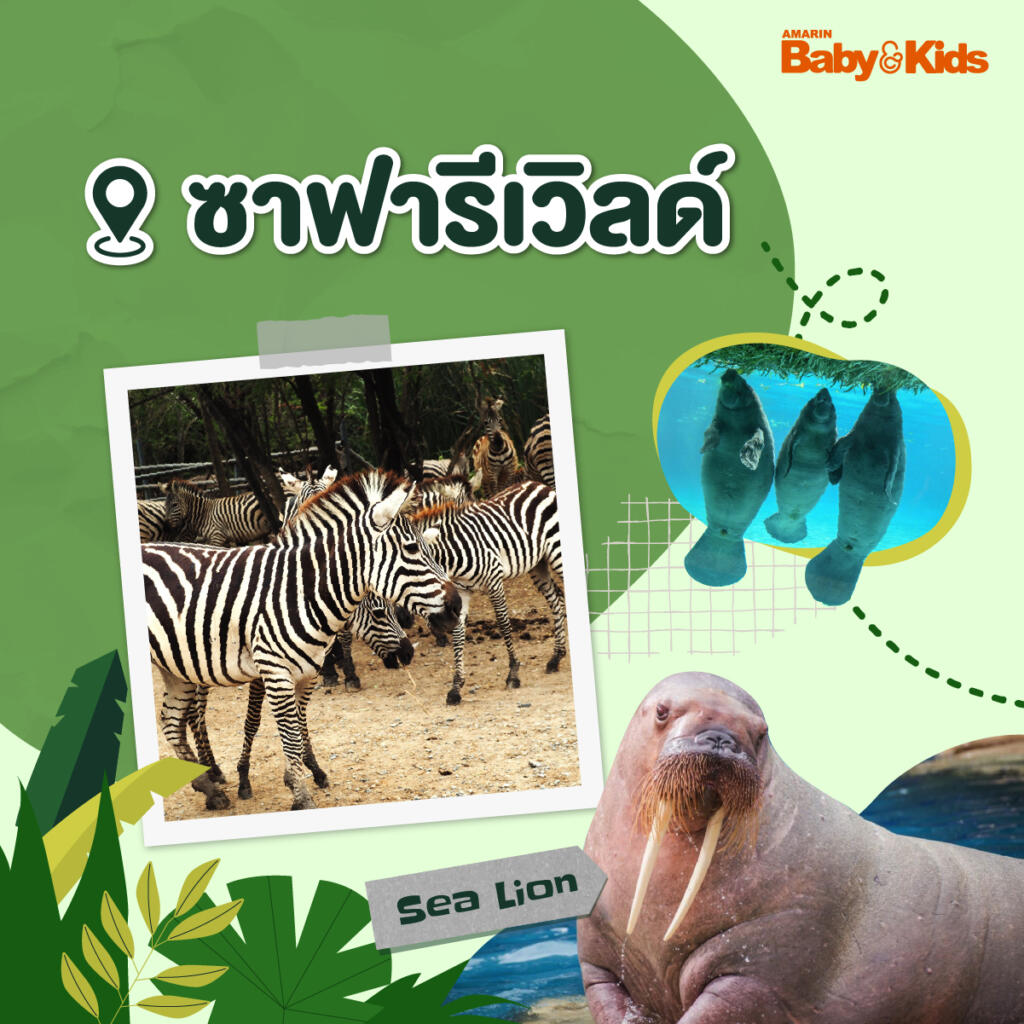 สวนสัตว์ใกล้กรุงเทพฯ