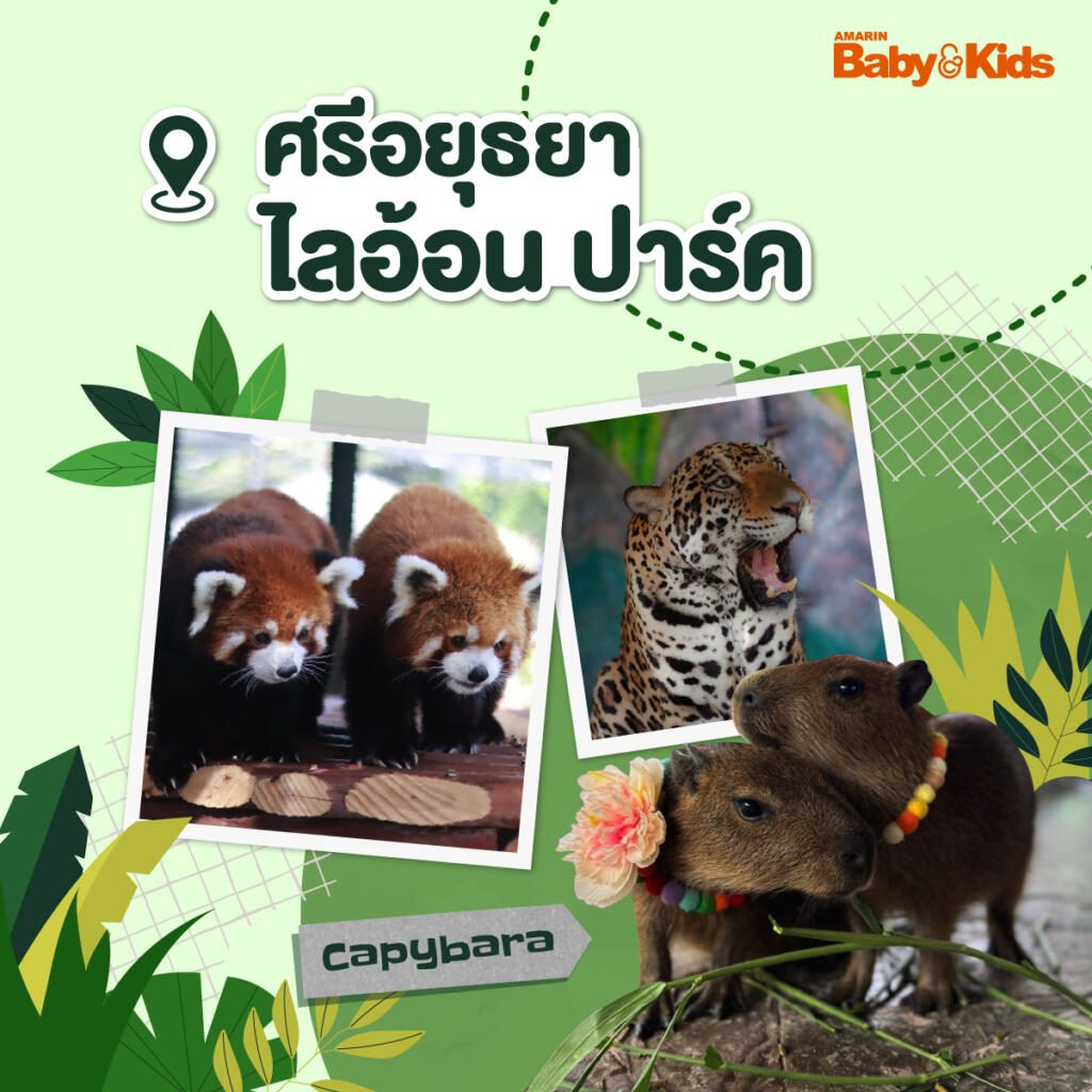 สวนสัตว์ใกล้กรุงเทพฯ