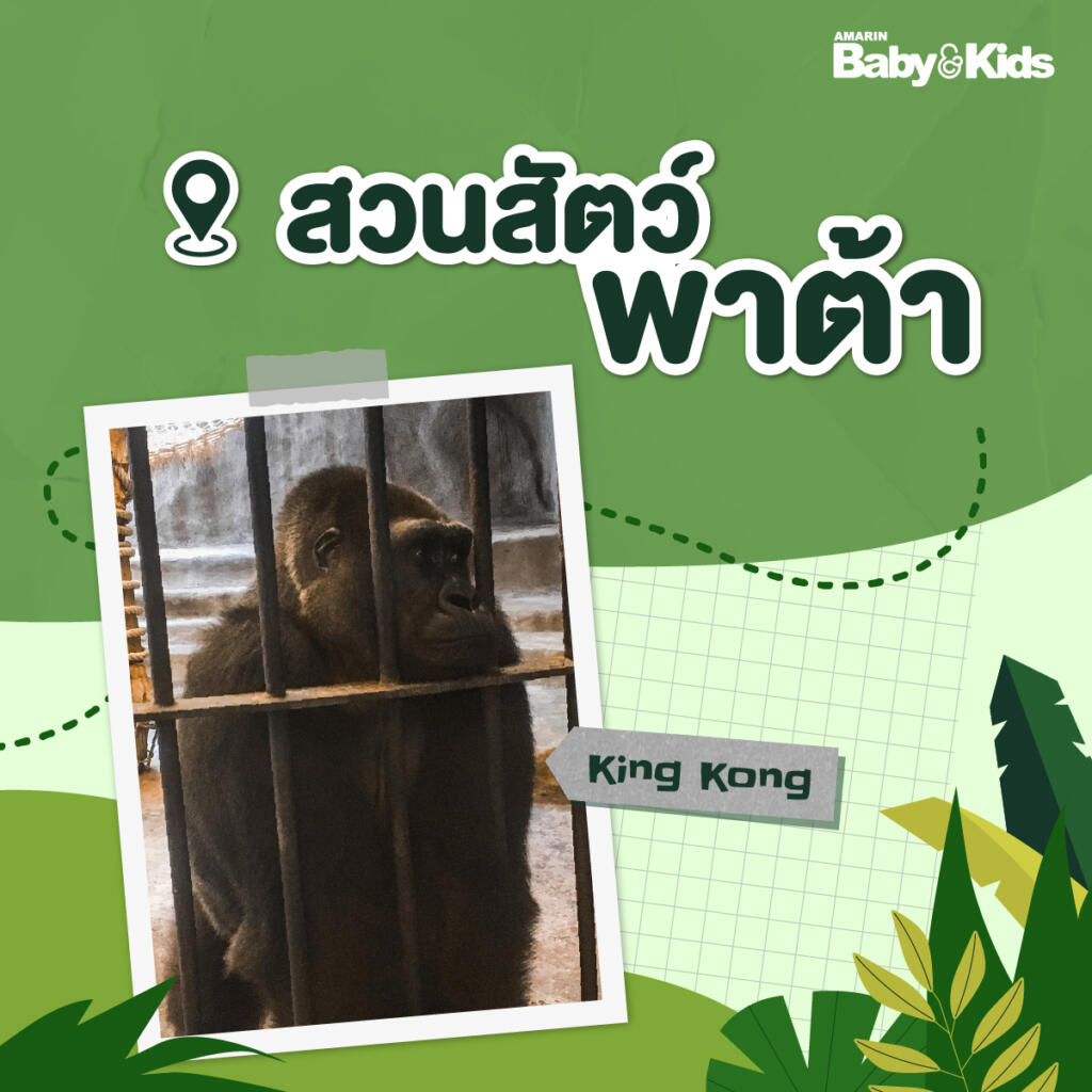 สวนสัตว์ใกล้กรุงเทพฯ