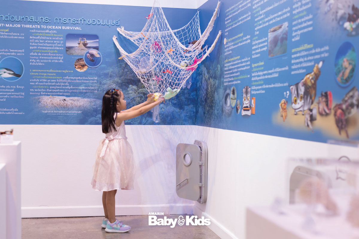 นิทรรศการโรงหนังแห่งท้องทะเล ขยะจากท้องทะเล โรงหนังแห่งท้องทะเล Chula Museum