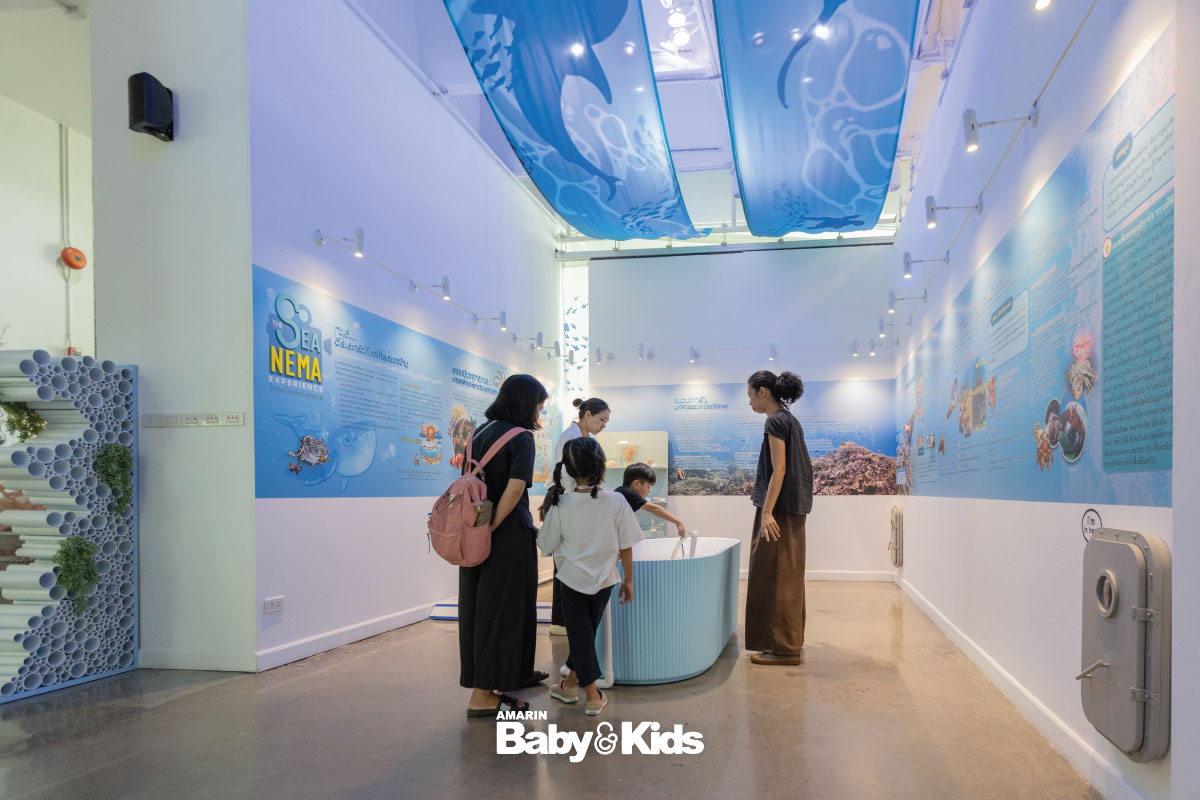 นิทรรศการโรงหนังแห่งท้องทะเล  โรงหนังแห่งท้องทะเล Chula Museum