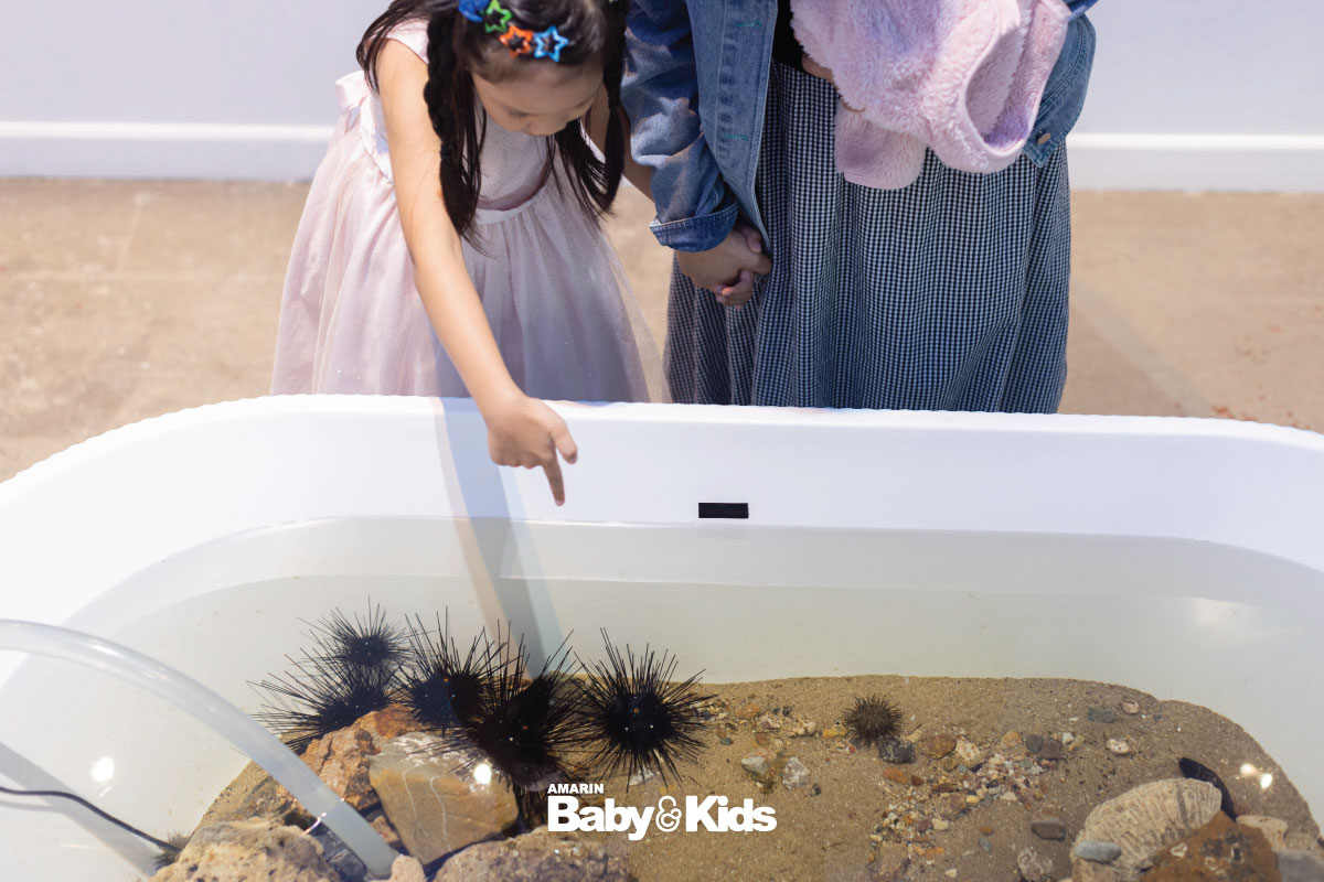 นิทรรศการโรงหนังแห่งท้องทะเล สัตว์ทะเล 