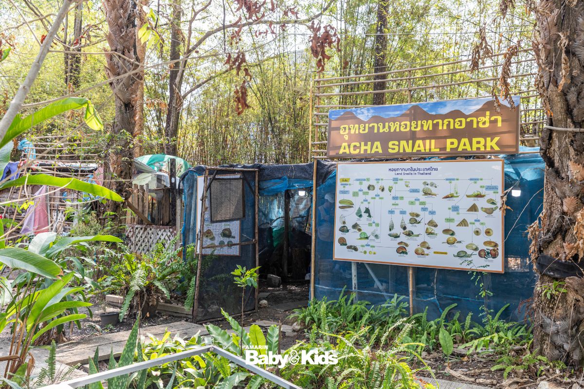 เอเดนฟาร์ม