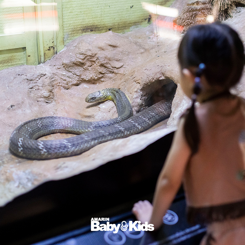 สวนงูสถานเสาวภา