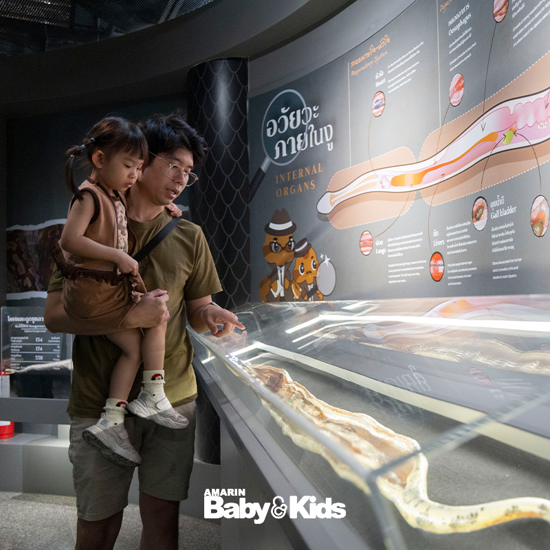 สวนงูสถานเสาวภา