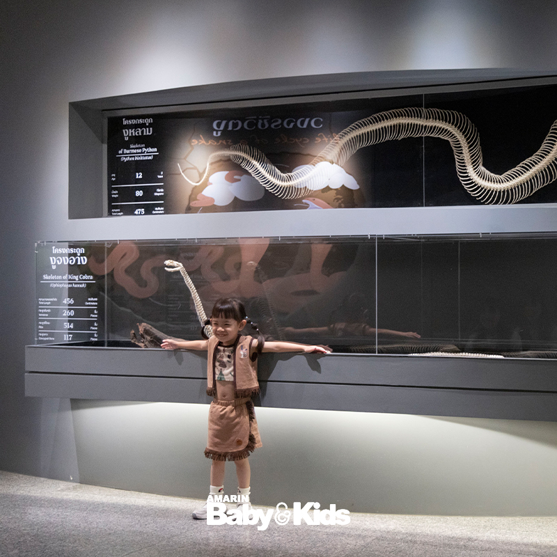 สวนงูสถานเสาวภา