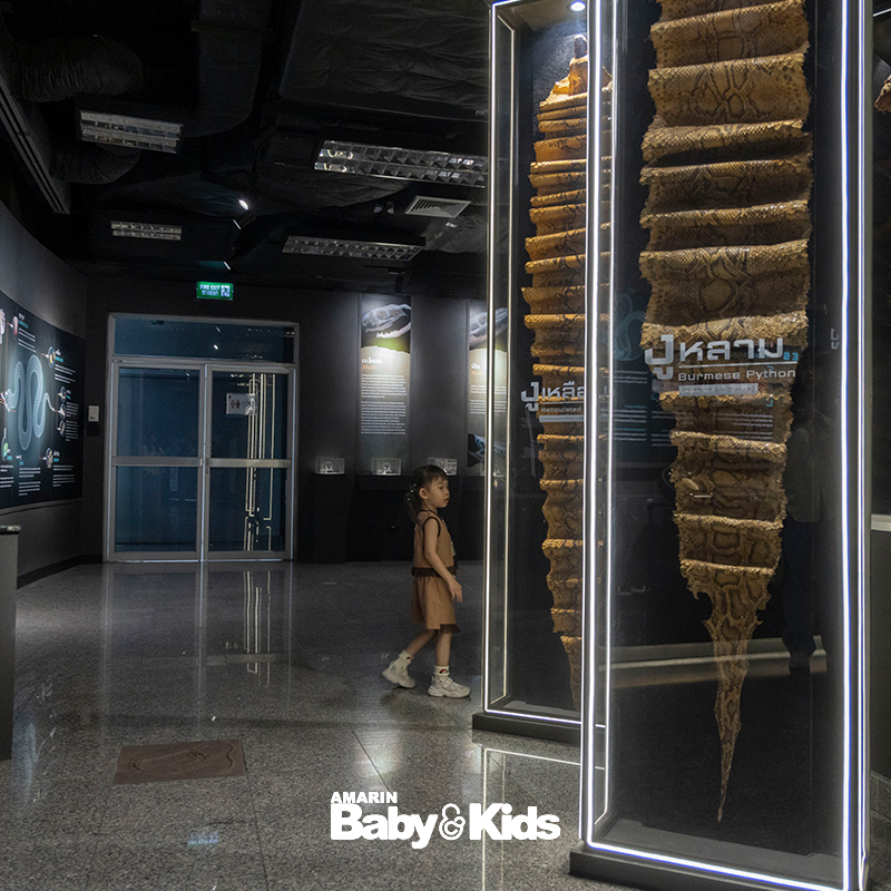 สวนงูสถานเสาวภา