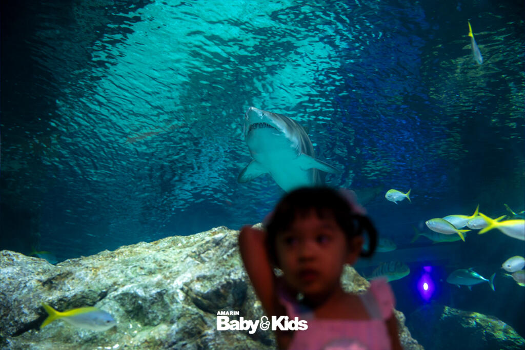 SEA LIFE Bangkok Ocean World
