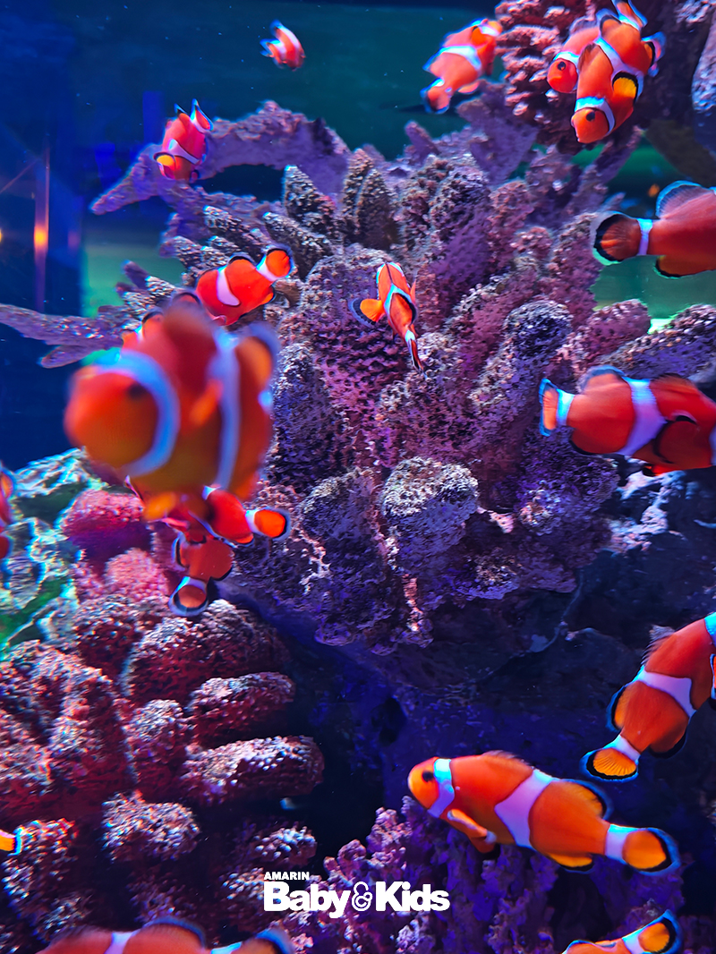SEA LIFE Bangkok Ocean World