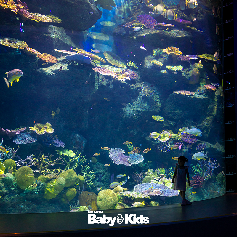 SEA LIFE Bangkok Ocean World