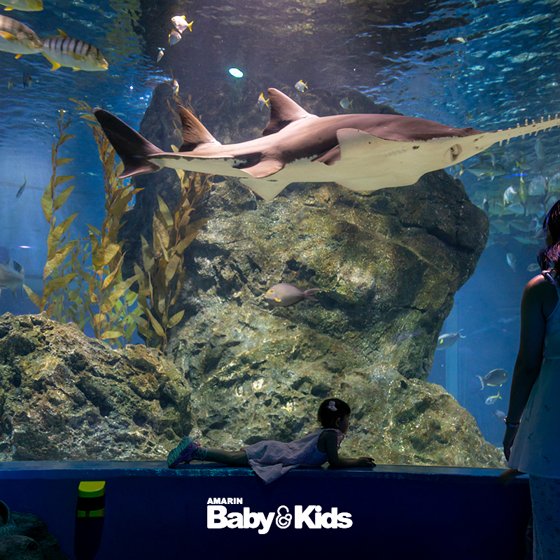 SEA LIFE Bangkok Ocean World