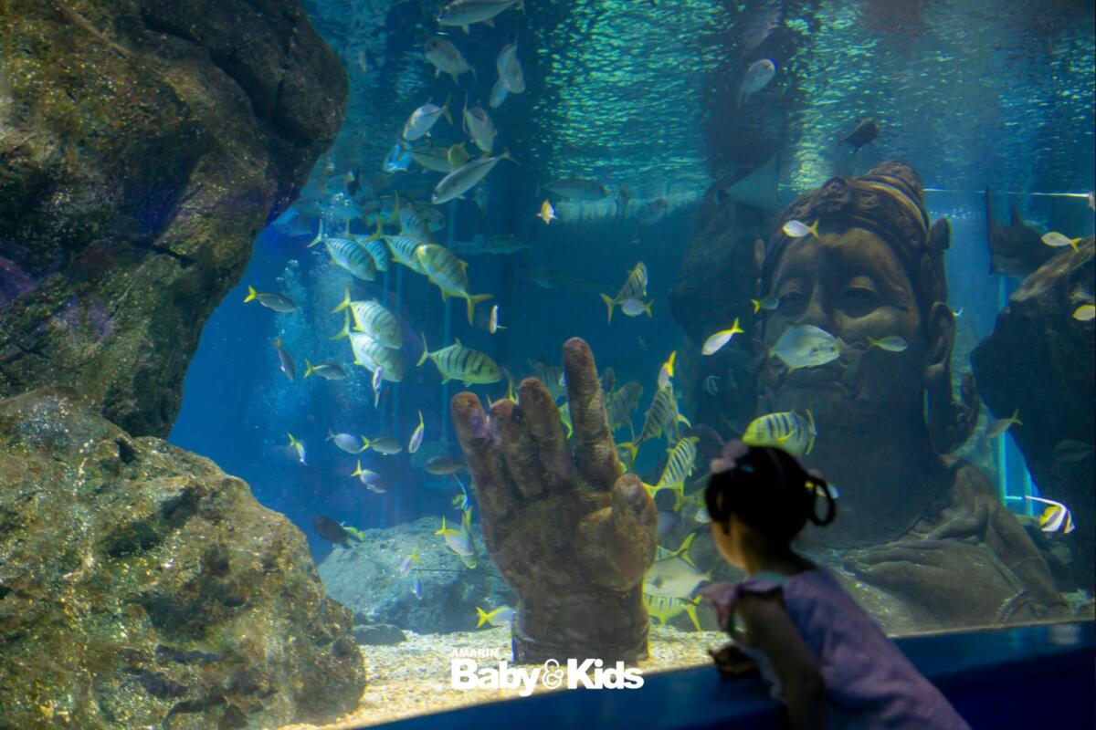 SEA LIFE Bangkok Ocean World